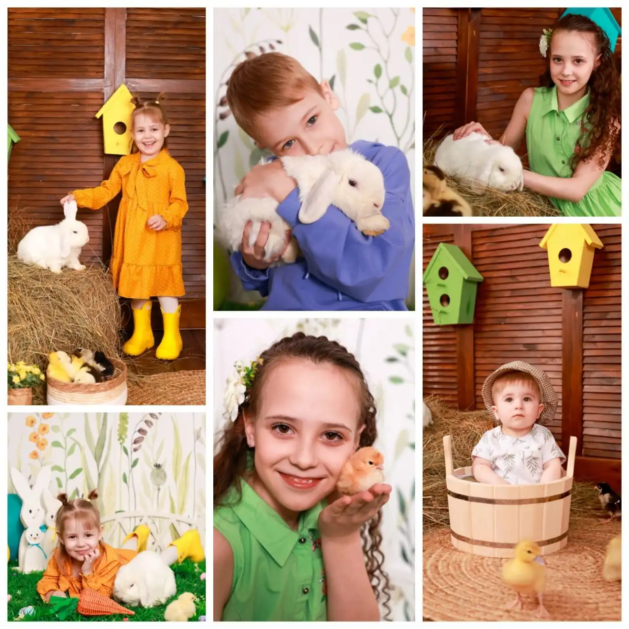 Фотодень к Пасхе с кроликом и утятами - Фотоуслуги (Услуги) в Барнаул