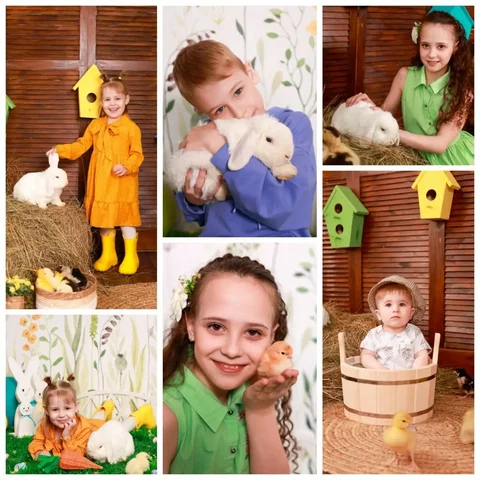 Фотодень к Пасхе с кроликом и утятами - Аренда техники в Барнаул