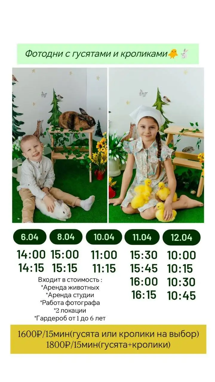 Пасхальные фотодни с гусятами и кроликами для детей - Фотоуслуги (Услуги) в Барнаул