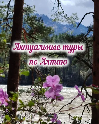 Туристические поездки и экскурсии из Барнаула - Экскурсии и туры в Барнаул