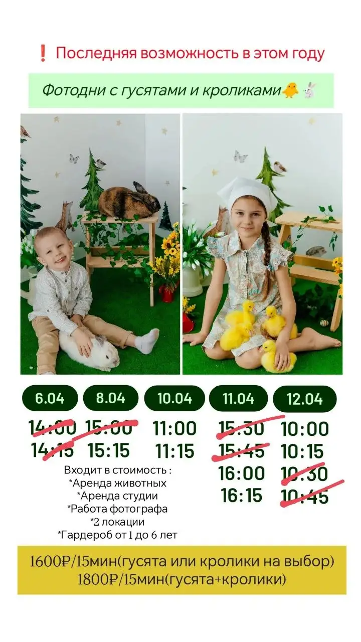 Фотосессия с животными на Пасху в Барнауле - Фотоуслуги (Услуги) в Барнаул