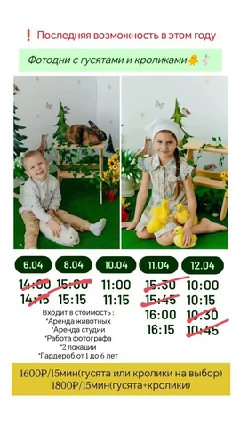 Фотосессия с животными на Пасху в Барнауле - Бытовые услуги в Барнаул