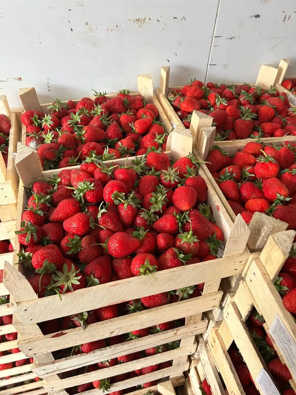Свежая поставка клубники из Киргизии - Фрукты и овощи (Продукты) в Барнаул