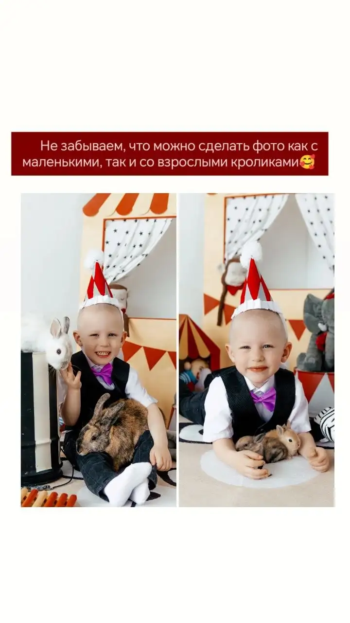 Детская фотосессия в цирковом стиле - Фотосъёмка (Услуги) в Барнаул