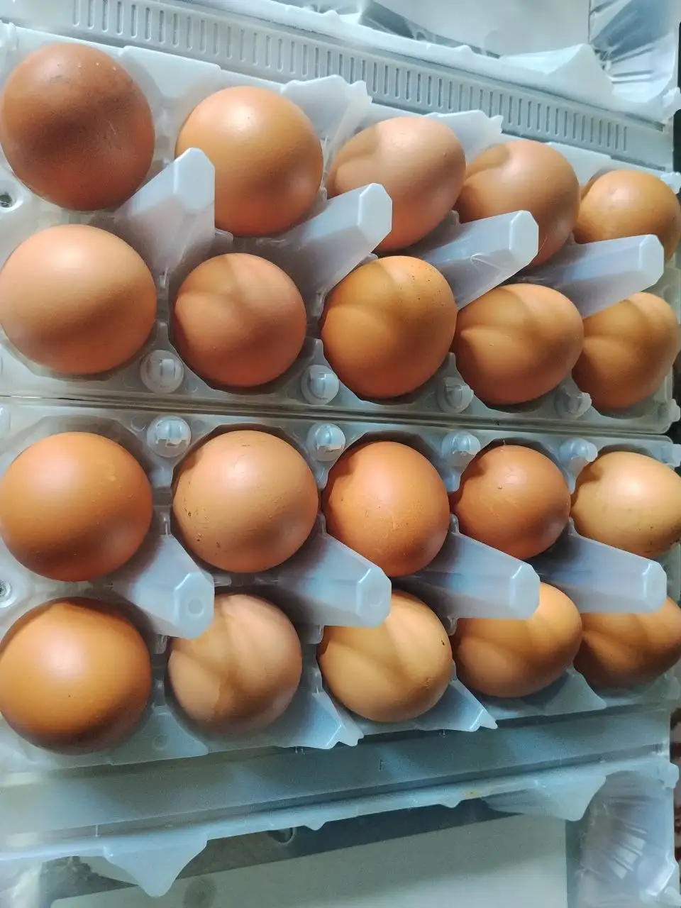 Продажа домашних яиц - Барахолка в Барнаул