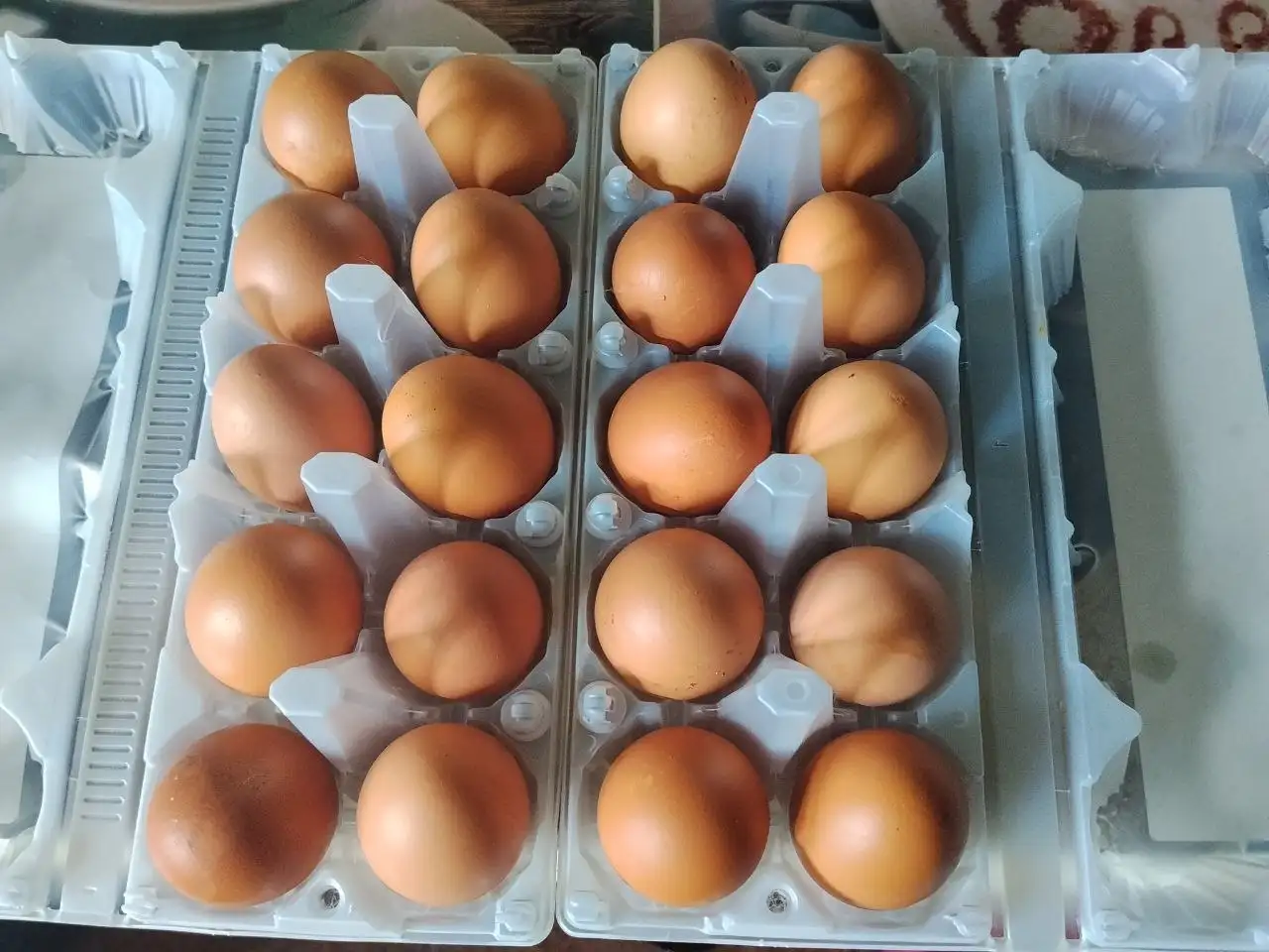 Продажа домашних яиц - Барахолка в Барнаул
