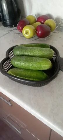 Продам огурцы Герман - Техника для кухни в Барнаул