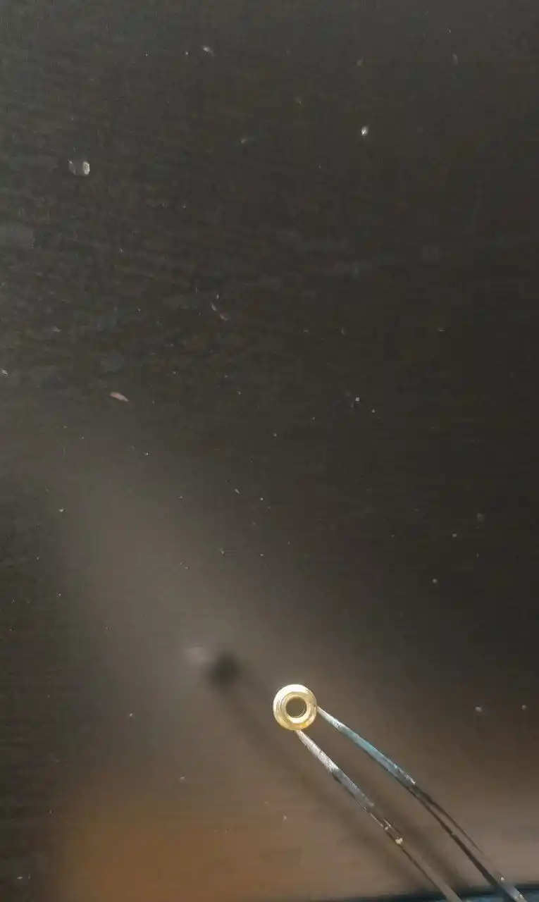 Квартира в Борике