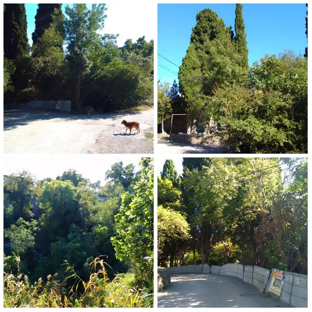 Участок 1,6 соток в пгт. Даниловка, Ялта