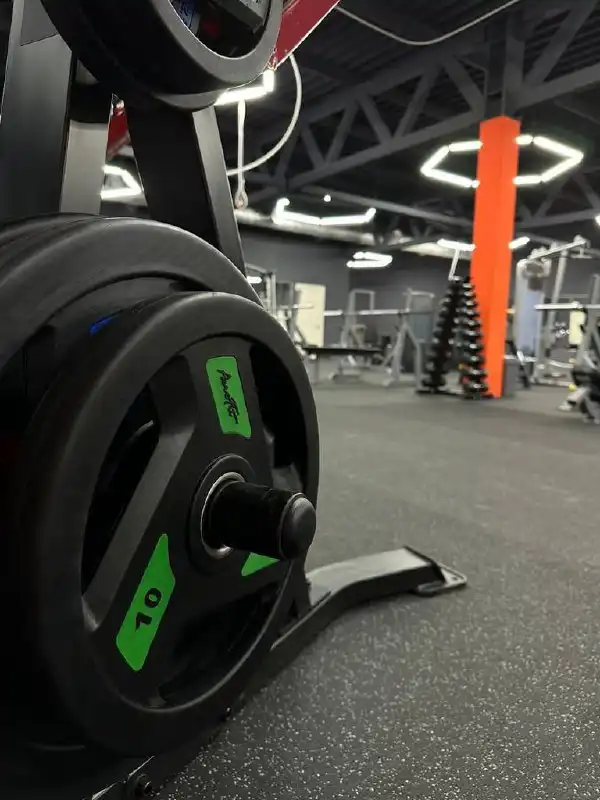 Поиск инвестора для запуска фитнес-клуба в Краснодаре