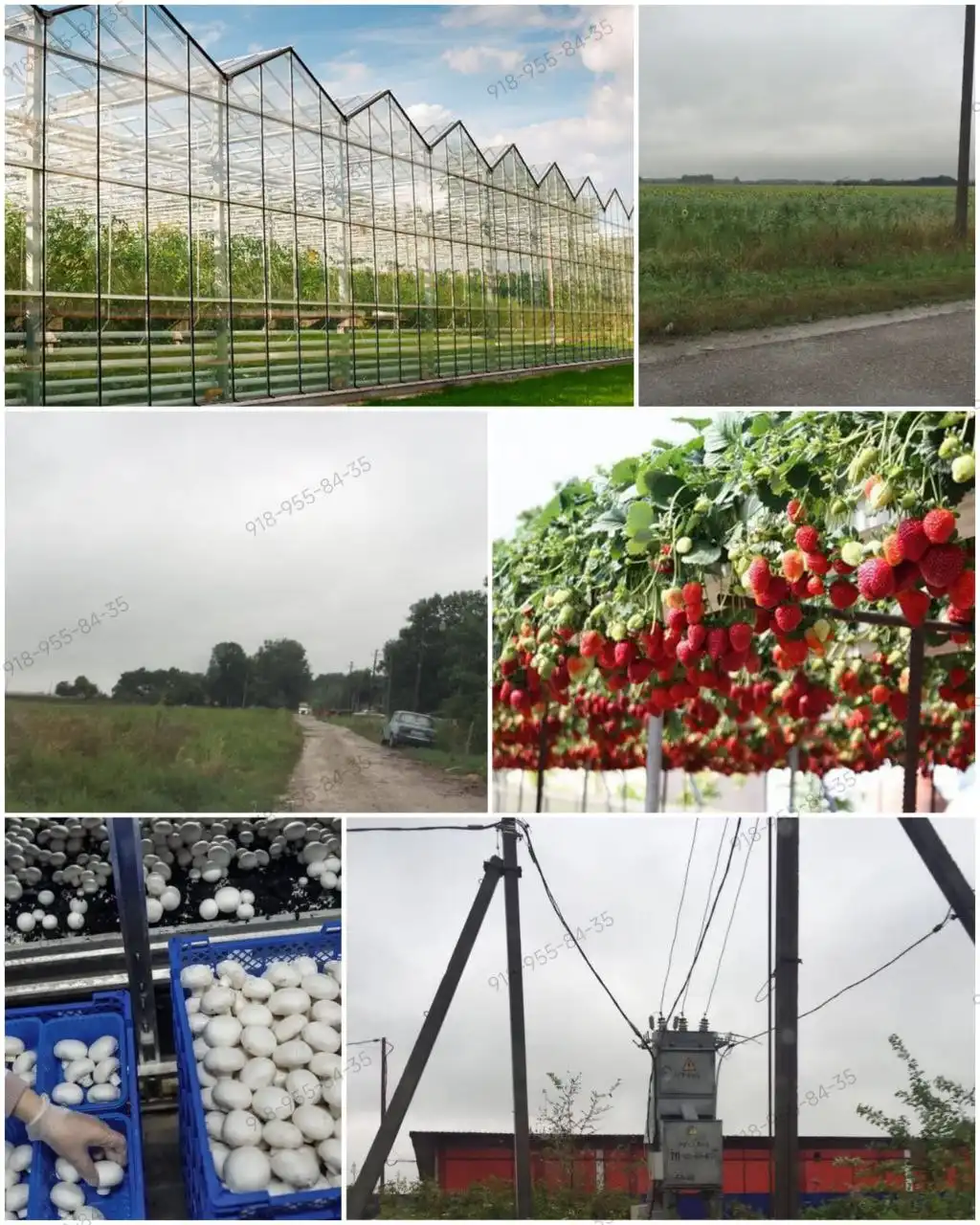 Продажа земельного участка для фермерского хозяйства в Краснодарском крае - Земля (Недвижимость) в Краснодарский край, Северский район, х. Новый