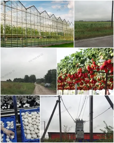 Продажа земельного участка для фермерского хозяйства в Краснодарском крае - частное объявление в Краснодарский край, Северский район, х. Новый