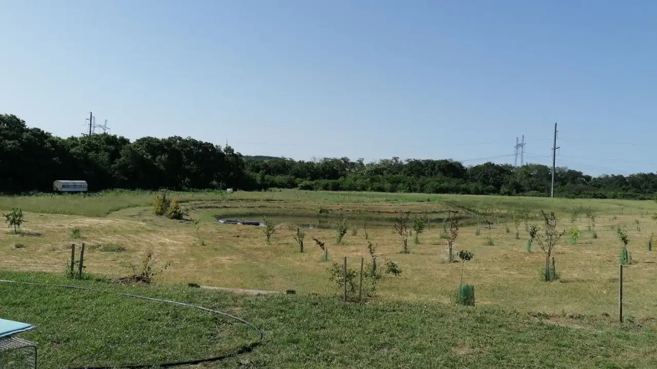 Продажа земельного участка сельхозназначения с домом и прудом - Земельные участки (Недвижимость) в Москва