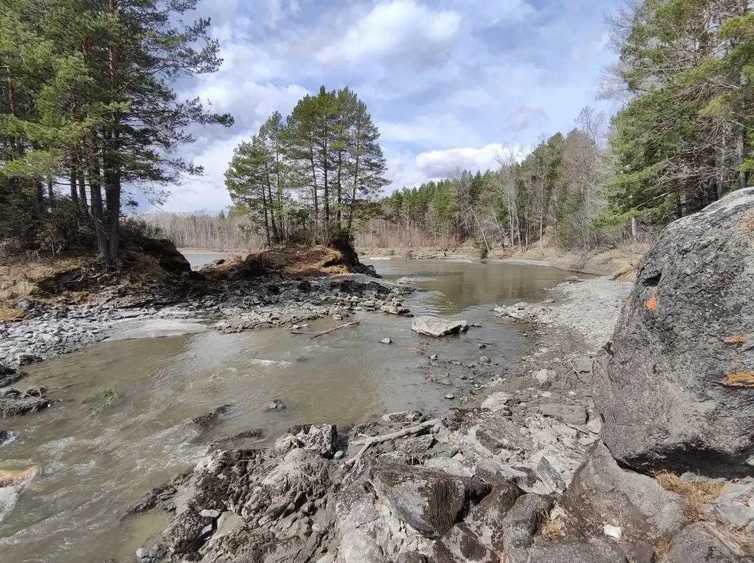 Участок 5,1 Га лесного фонда на берегу Катуни в Горном Алтае - Земельные участки (Недвижимость) в Горный Алтай