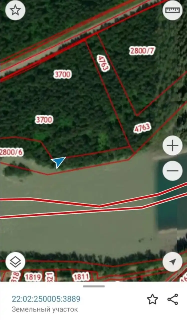 Участок 5,1 Га лесного фонда на берегу Катуни в Горном Алтае - Земельные участки (Недвижимость) в Горный Алтай