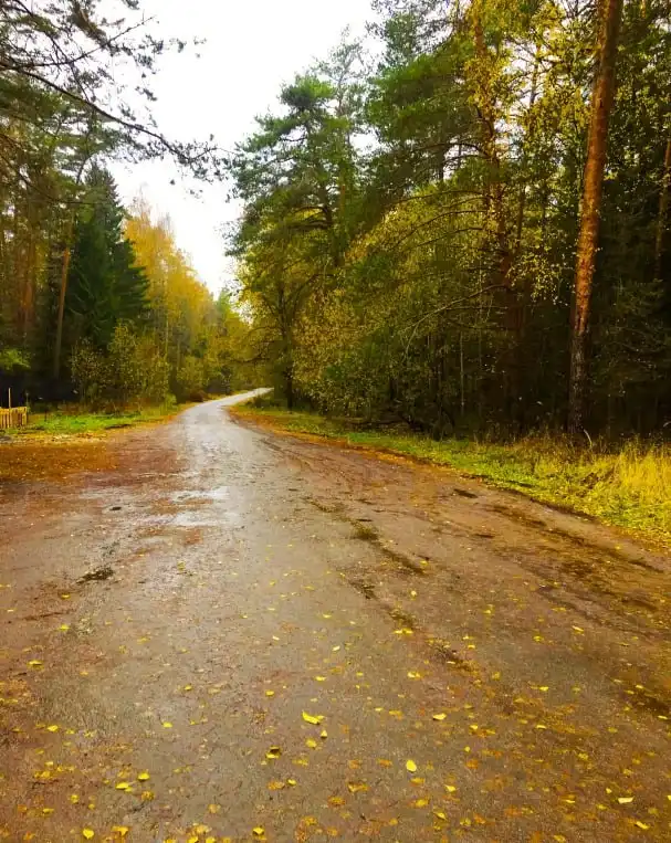 Продажа земельного участка 205322 кв.м. в Гатчинском районе - Земельные участки (Недвижимость) в Гатчинский район