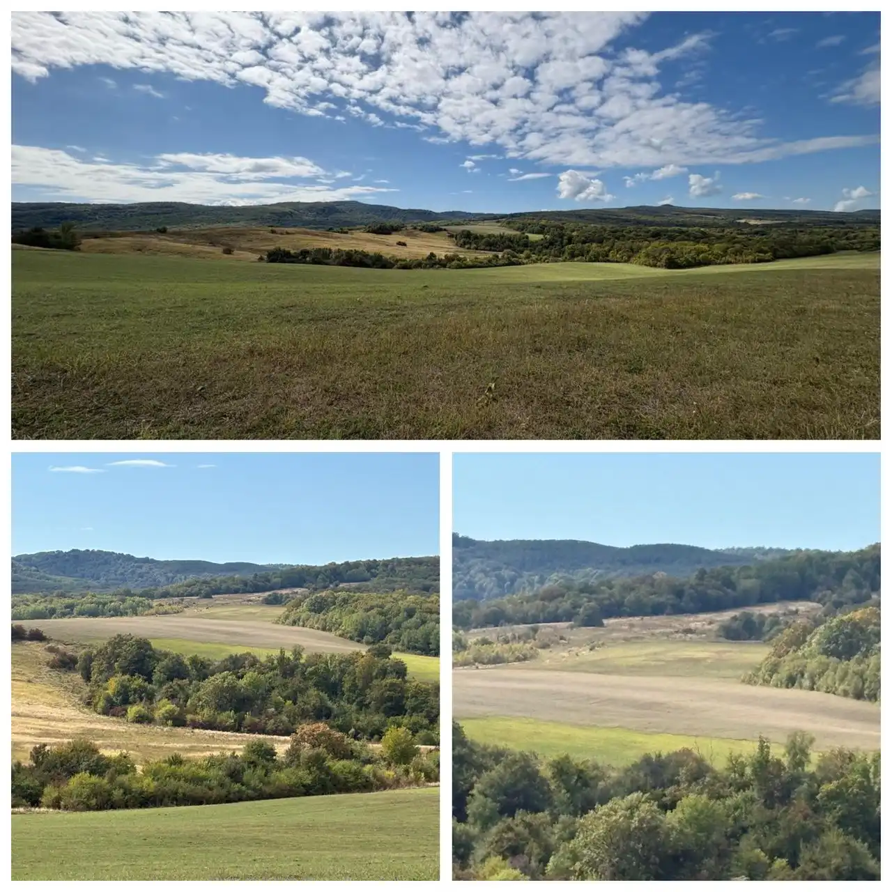 Земельный участок 500 га в Майкопском районе - Земельные участки (Недвижимость) в Майкопский район