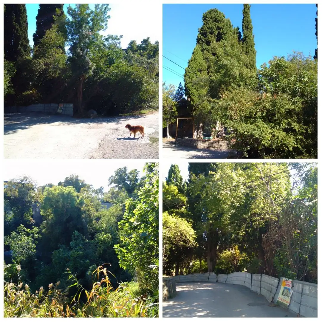 Продажа земельного участка 11,6 соток в пгт. Даниловка, Ялта - Земельные участки (Недвижимость) в Даниловка