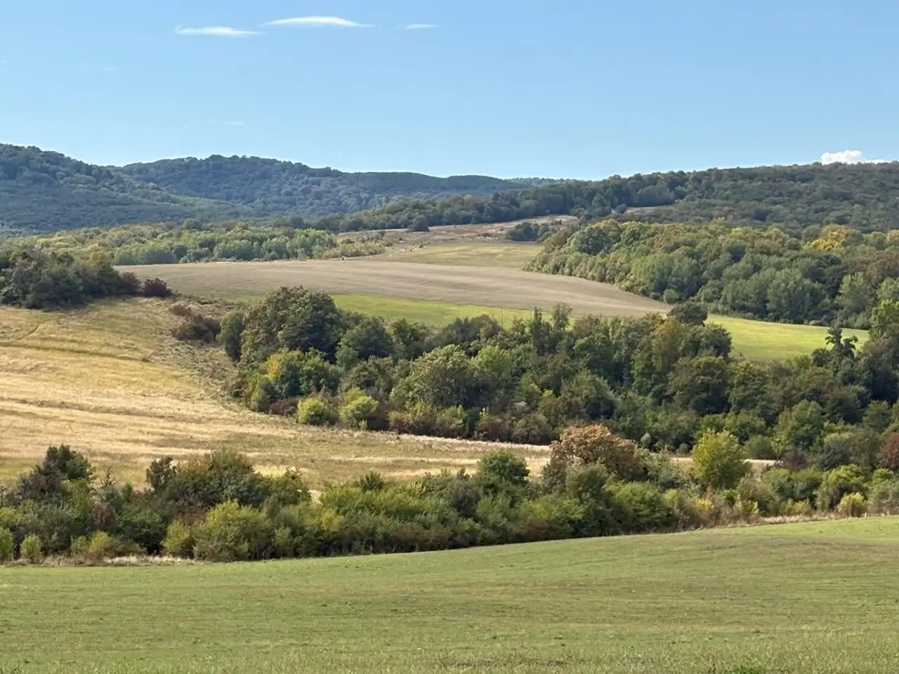 Земельный участок 32,5 га в Адыгее - Земельные участки (Недвижимость) в Севостопольская