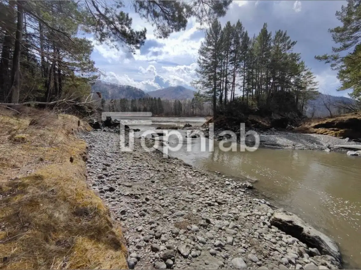 Земельный участок 5,1 Га на берегу реки Катунь - Земельные участки (Недвижимость) в Москва