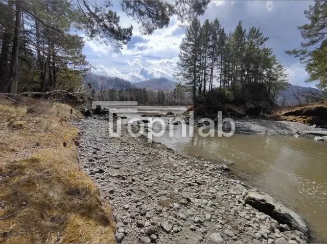 Земельный участок 5,1 Га на берегу реки Катунь - Земельные участки в Москва