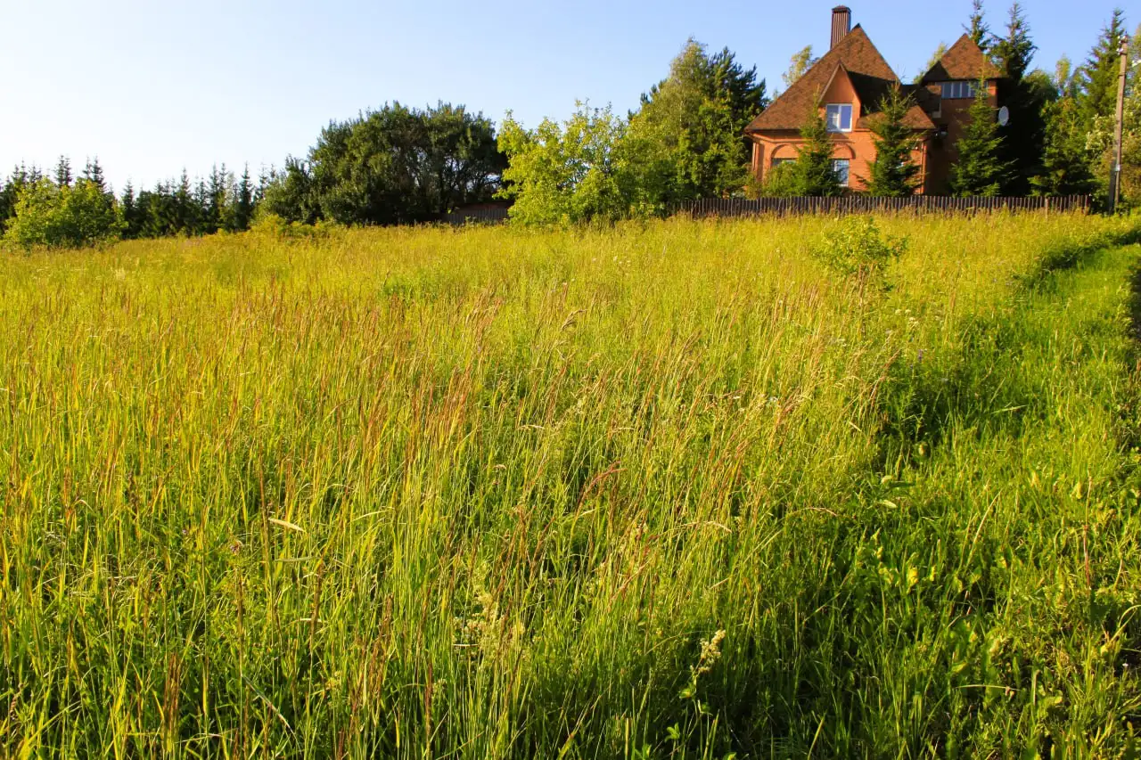 Продажа свободного участка 10 соток в жилой деревне - Земельные участки (Недвижимость) в Москва