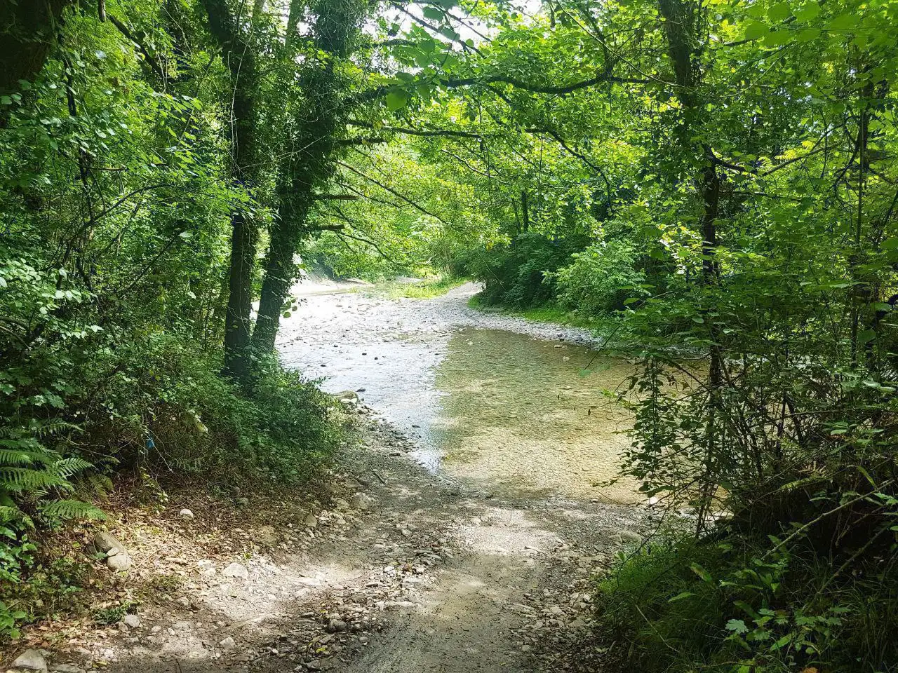 Участок 350м² в Дагомысе у речки и леса - Земельные участки (Недвижимость) в Дагомыс