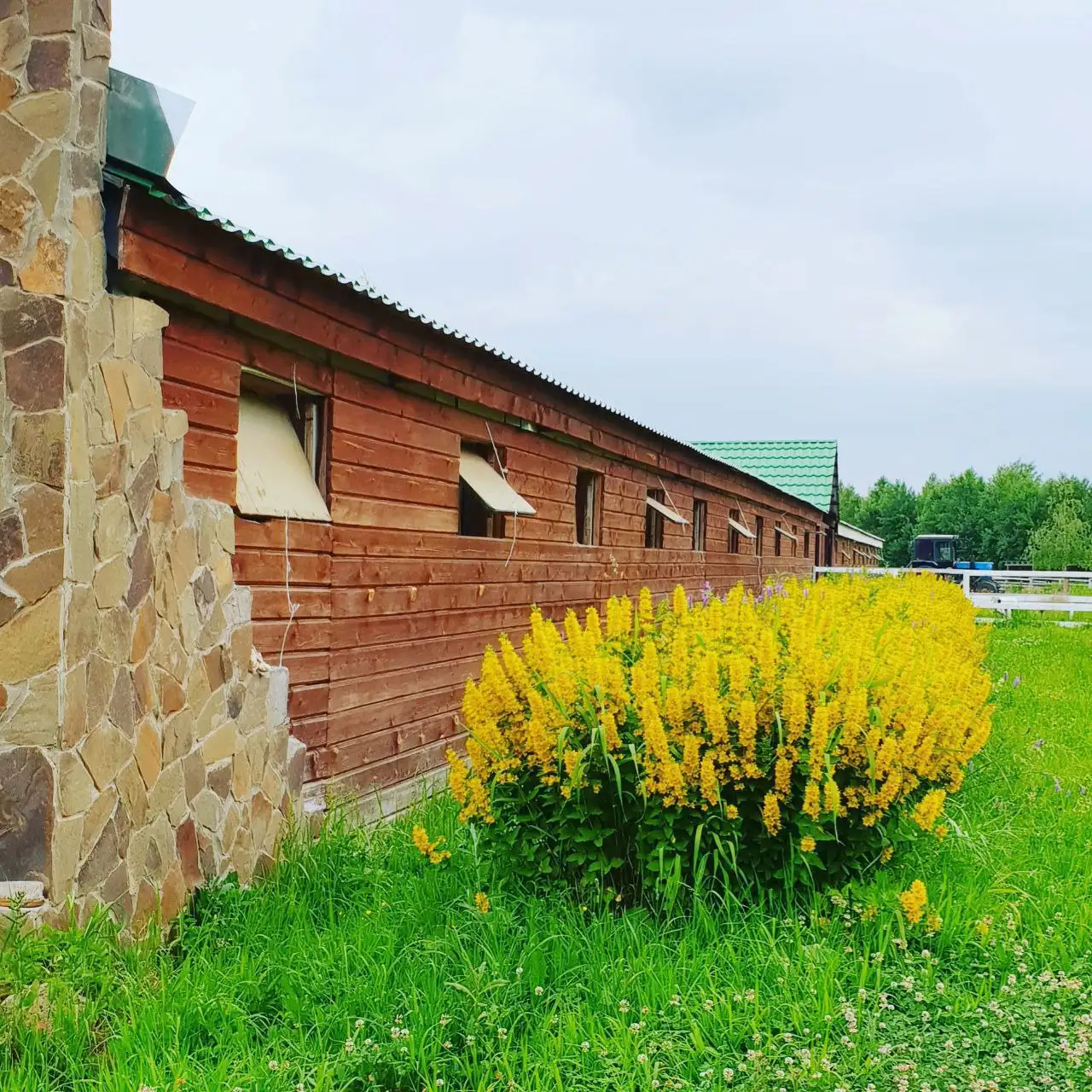 Усадьба с конюшней и фермой на 16 га в Калужской области - Загородная недвижимость (Недвижимость) в Жуковский район