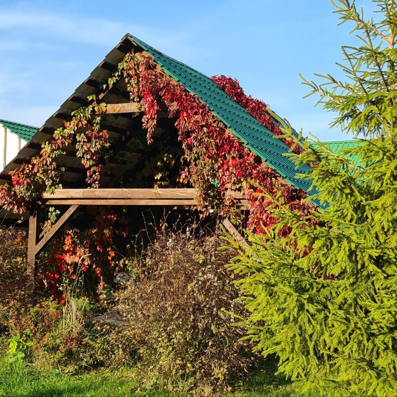 Усадьба с конюшней и фермой на 16 га в Калужской области - Загородная недвижимость (Недвижимость) в Жуковский район