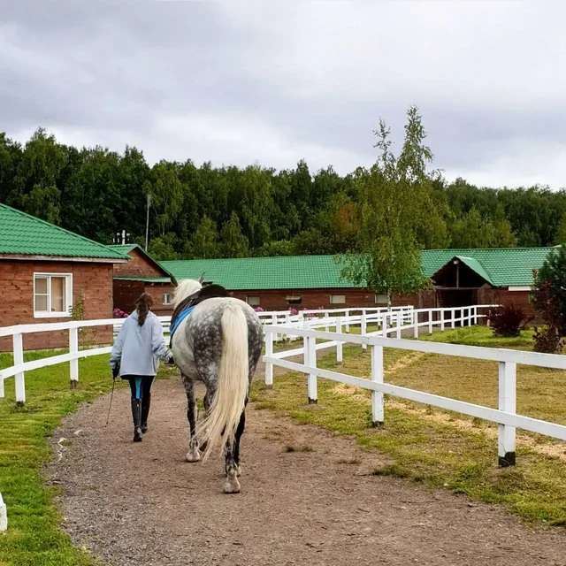 Продажа усадьбы с конюшней и фермой на 16 га в Калужской области - частное объявление в Жуковский район
