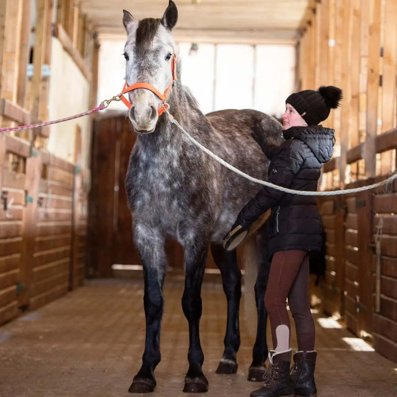Продажа усадьбы с конюшней и фермой на 16 га в Калужской области - Коммерческая (Недвижимость) в Жуковский район