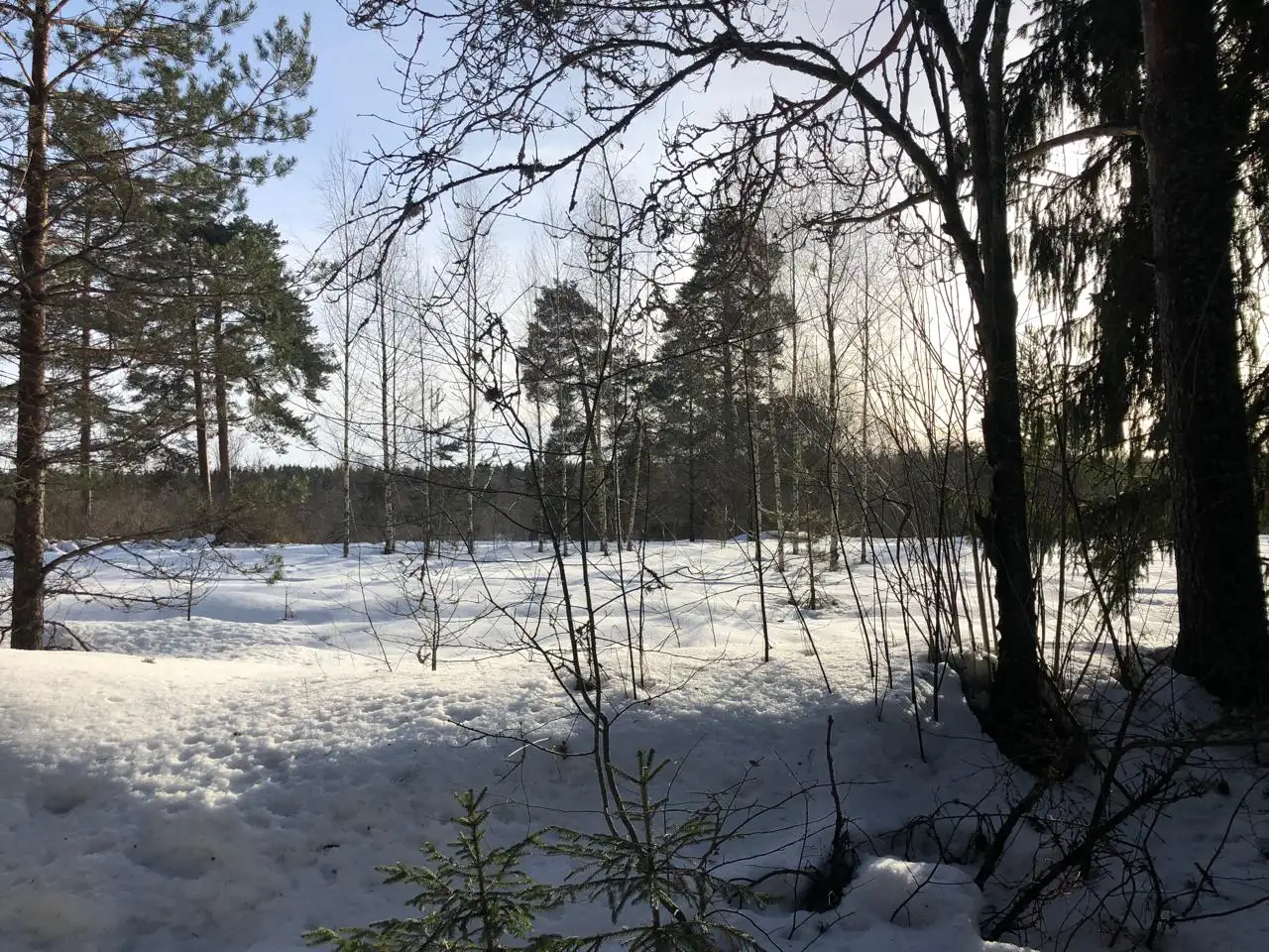 Продажа земельного участка 205322 кв.м. в Гатчинском районе - Земля (Недвижимость) в Гатчинский район