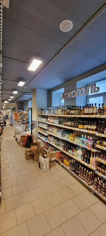 Продается действующий арендный бизнес с нежилым помещением в историческом центре Самары - Коммерческая (Недвижимость) в Самара