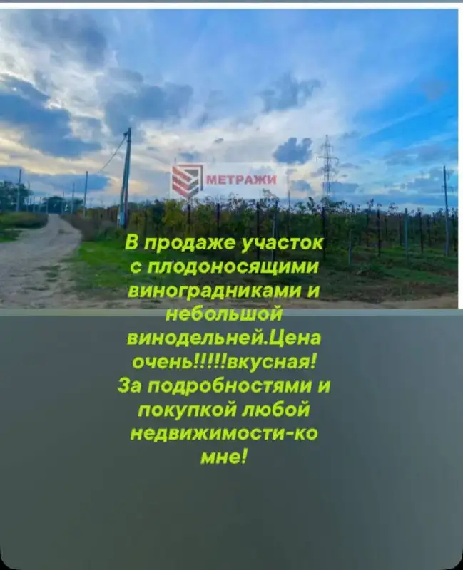 Продажа действующей винодельни с виноградопригодной зоной - Коммерческая (Недвижимость) в Москва