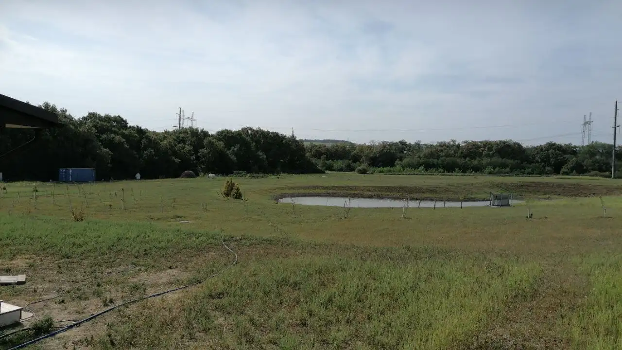 Продажа земельного участка сельхоз назначения 6 га с домом и прудом - Земля (Недвижимость) в Москва