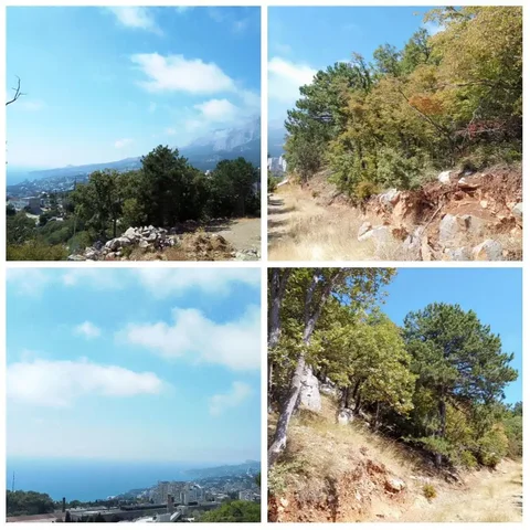 Продажа земельного участка 15 соток в Гаспре, Ялта - Недвижимость в Ялта