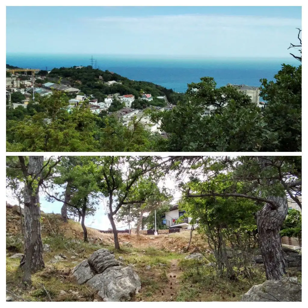 Участок 14 соток в Гаспре, Ялта - Земля (Недвижимость) в Ялта