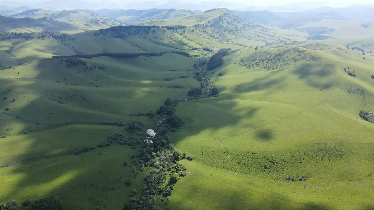 Земельный массив с агробизнес-системой в Алтайском крае - Земля (Недвижимость) в Чарышский район