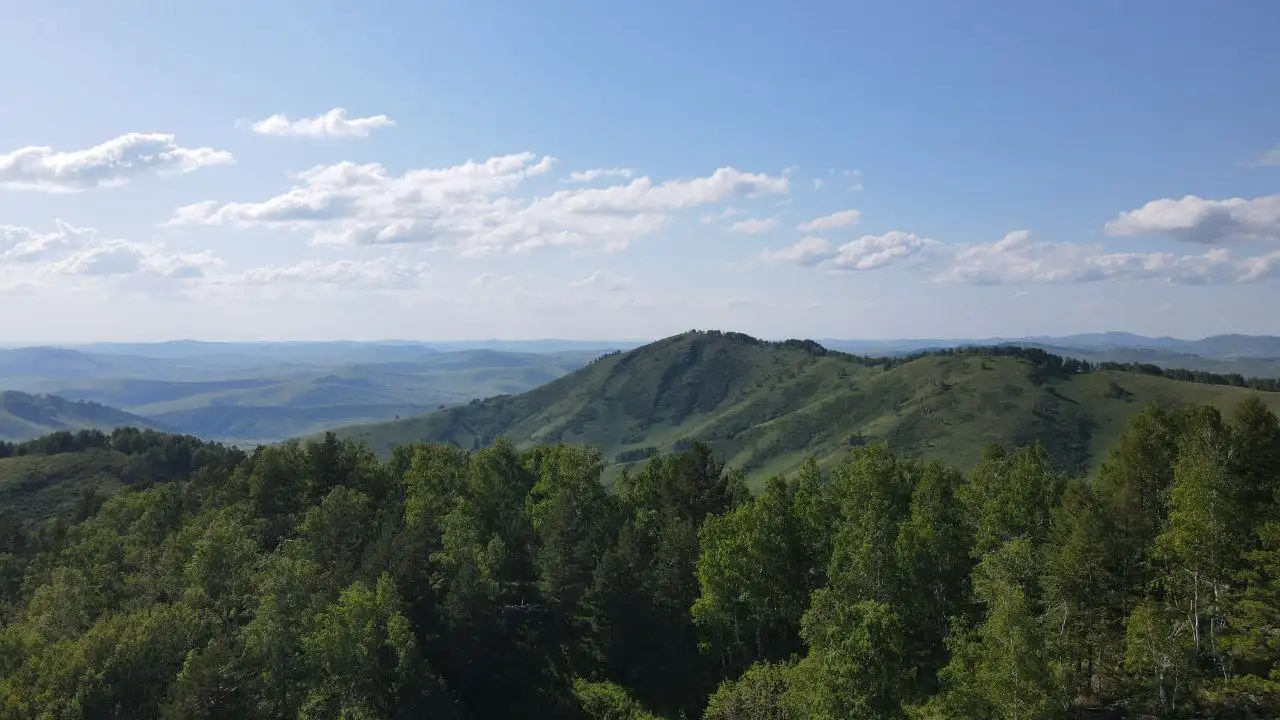 Земельный массив с агробизнес-системой в Алтайском крае - Земля (Недвижимость) в Чарышский район