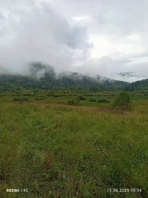 Продается земельный участок 60 Га в Алтайском крае - Недвижимость в Куяган