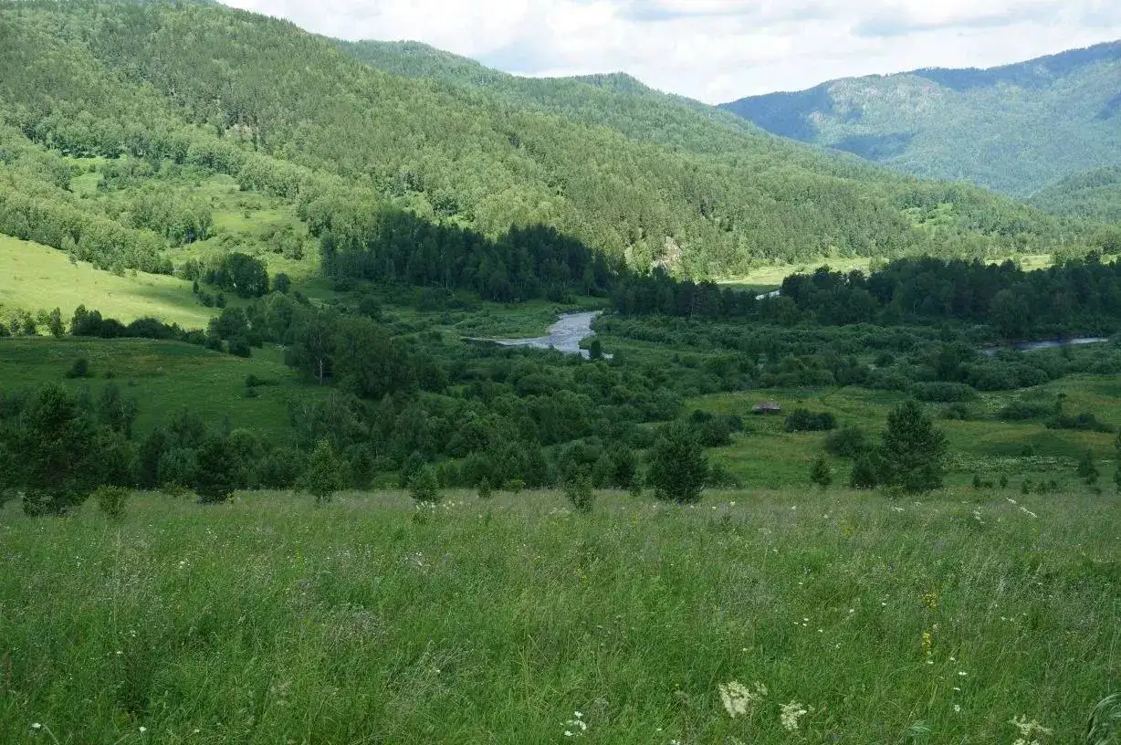 Продается земельный участок 60 Га в Алтайском крае - Земельные участки (Недвижимость) в Куяган