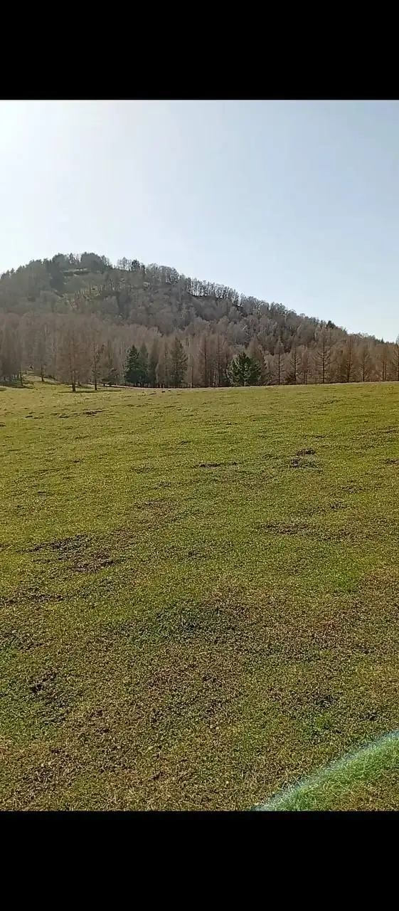 Продается земельный участок 60 Га в Алтайском крае - Земельные участки (Недвижимость) в Куяган