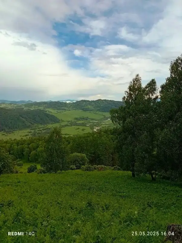 Продается земельный участок 60 Га в Алтайском крае - Земельные участки (Недвижимость) в Куяган