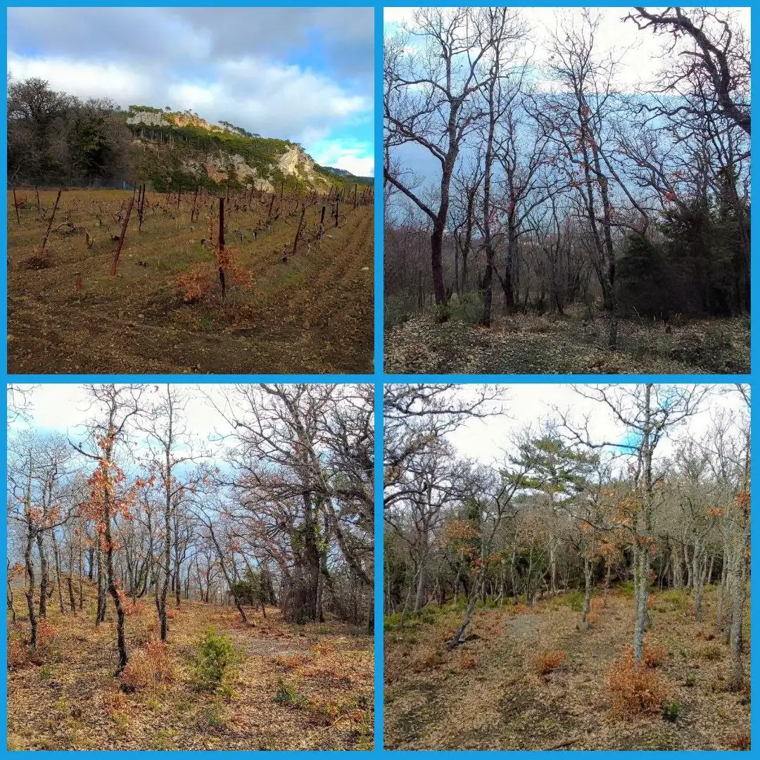 Участок 10 соток в пгт. Восход, Ялта - Земля (Недвижимость) в Ялта