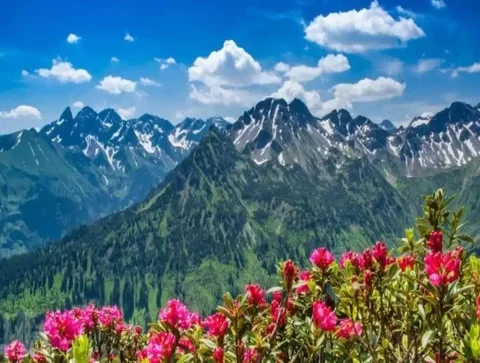 Продается мини-отель/частная вилла в Сочи, Красная Поляна - Недвижимость в Сочи