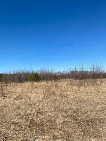 Продажа земельного участка сельскохозяйственного назначения 4,5 га в Богородском г.о. - Недвижимость в Богородский г.о.