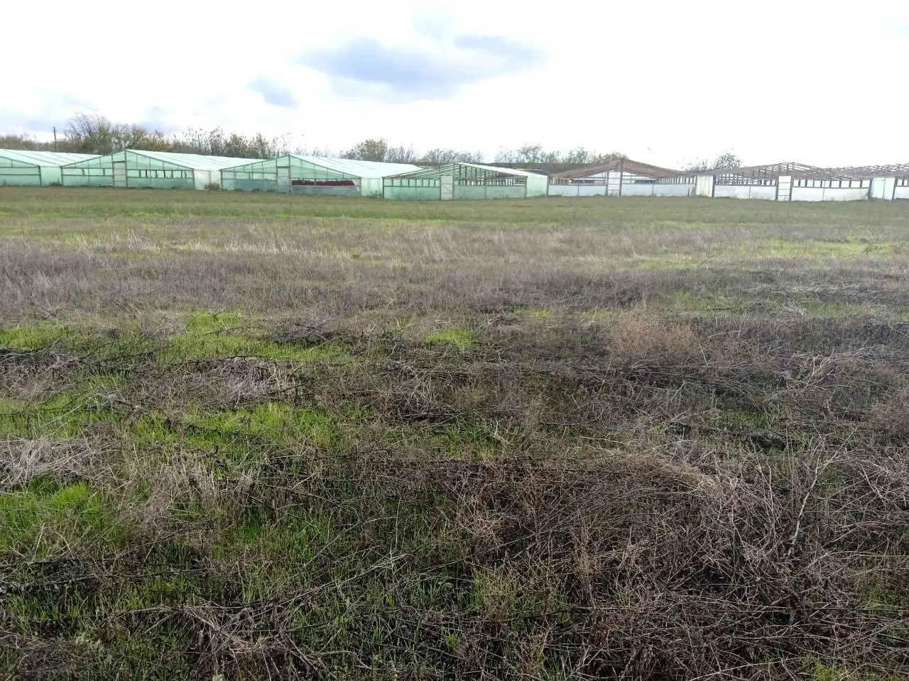 Продажа участка промышленного назначения 250 соток в Краснодарском крае - Земельные участки (Недвижимость) в Первореченское