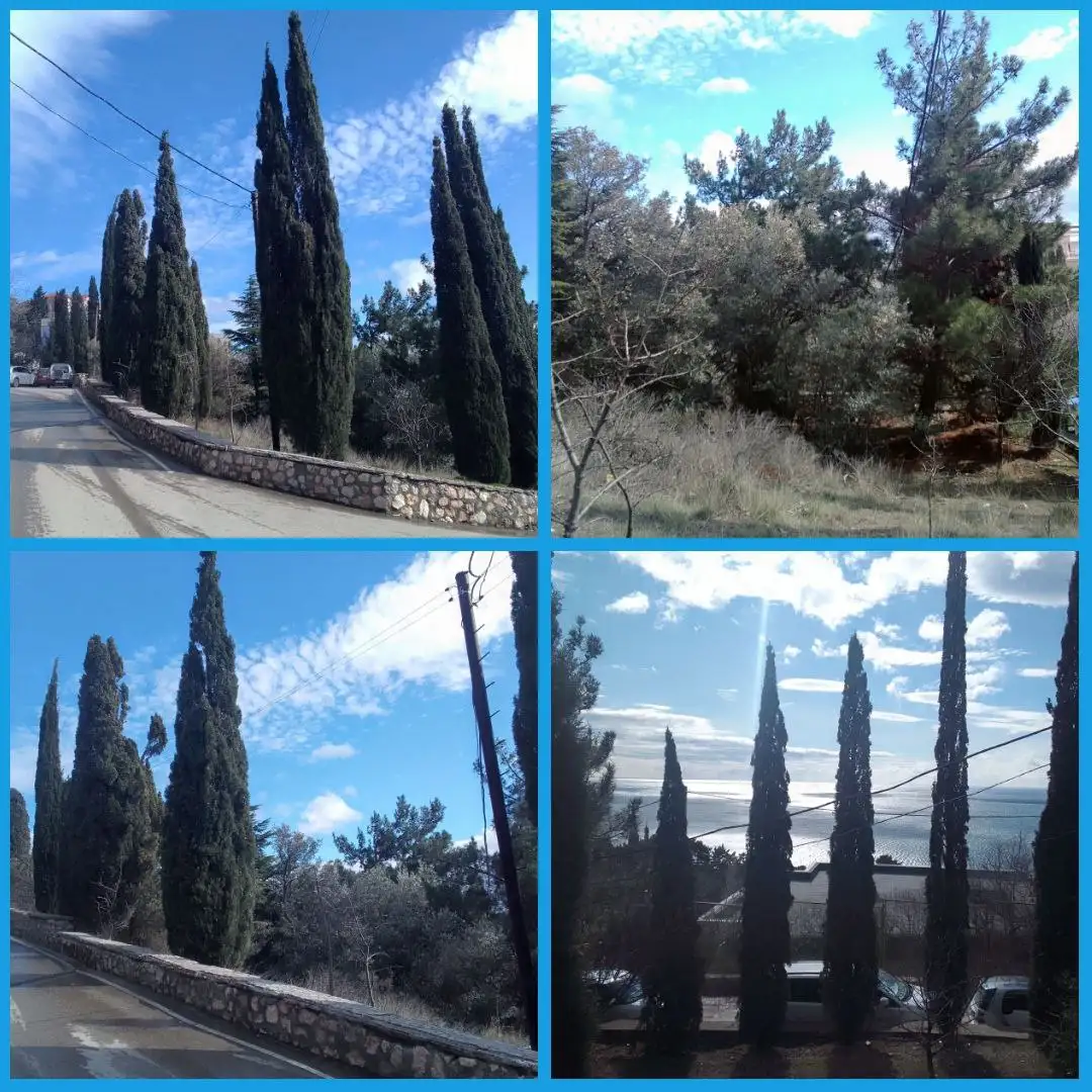 Участок 6 соток в п. Парковое, Ялта - Земельный участок (Недвижимость) в Ялта