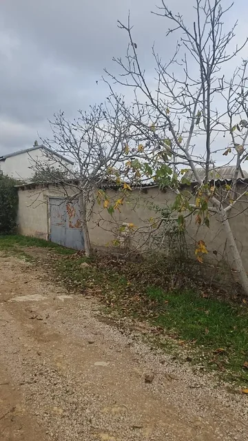 Продажа земельного участка в Севастополе, СНТ Атлантика-3 - Земельные участки в Севастополь