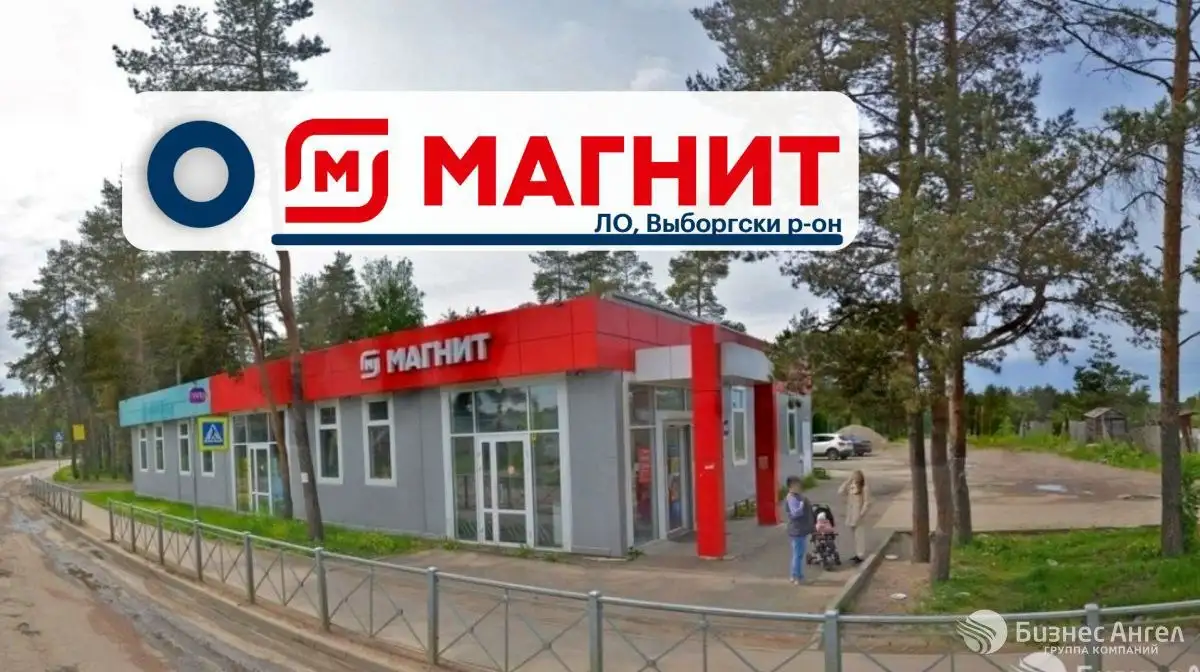 Продажа коммерческой недвижимости с арендаторами Магнит и Wildberries - Коммерческая недвижимость (Недвижимость) в Рябово